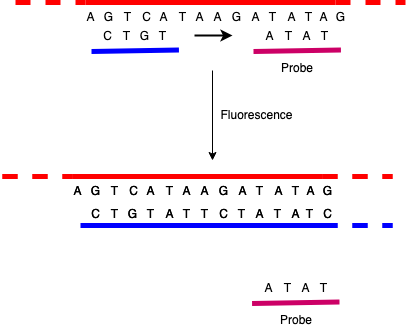 Fluourescence detection