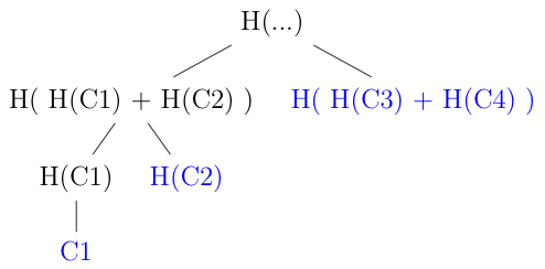 The co-path of the Merkle tree